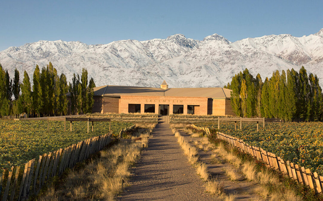 Descubra hotéis acolhedores em Mendoza próximos às vinícolas. Reserve sua estadia para uma experiência enoturística inesquecível na Argentina.