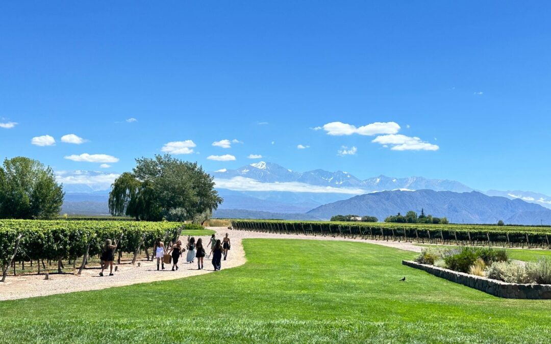 Jantar em vinicolas Mendoza