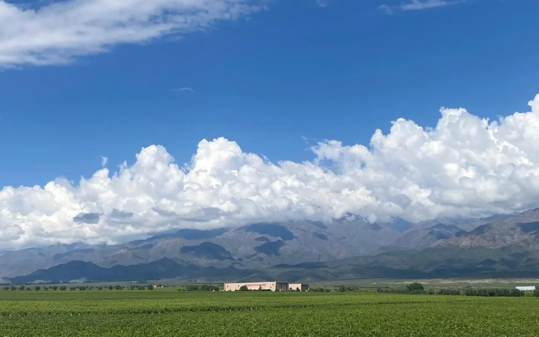 Clos de los 7, vinicola Michel Rolland