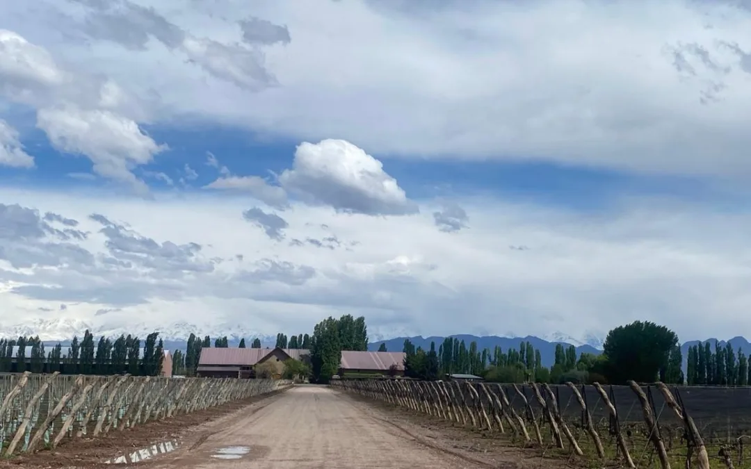 Vinicola em Lujan de Cuyo, Susana Balbo