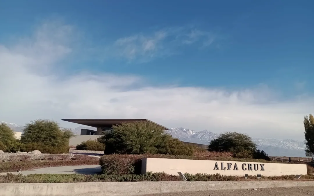 Tours de vinho em Mendoza pelas Vinicolas