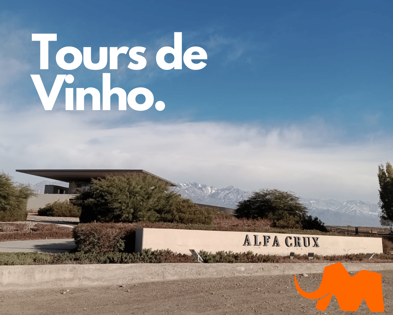 Tours de Vinoh