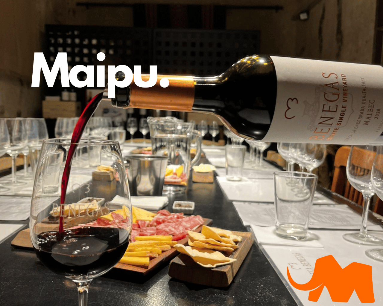 Passeios de Vinho em Maipu