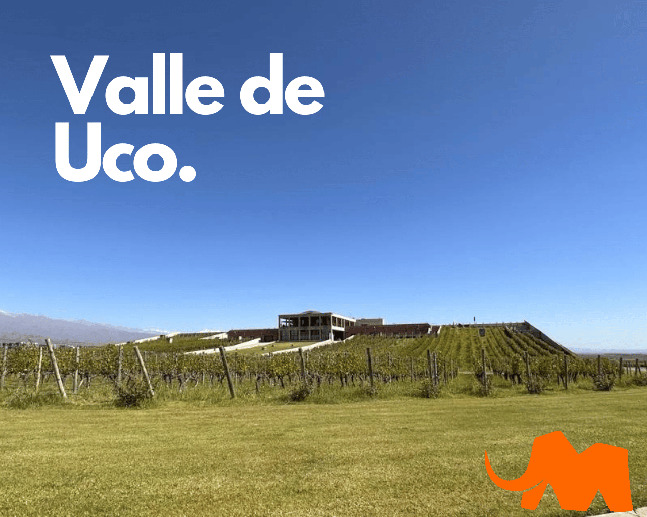 Vinicolas em Vlle de Uco Mendoza